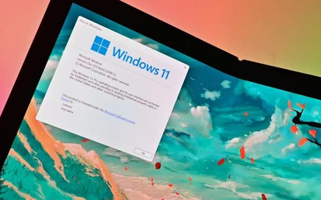 分層組策略應用程序功能適用于Windows11和