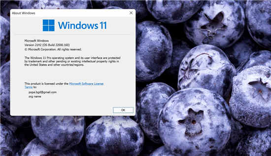 微軟發(fā)布新的 Windows 11 測試版本build 220