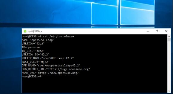 WindowsSubsystem for Linux(WSL)2對(duì)Windows10版本1903和1909的