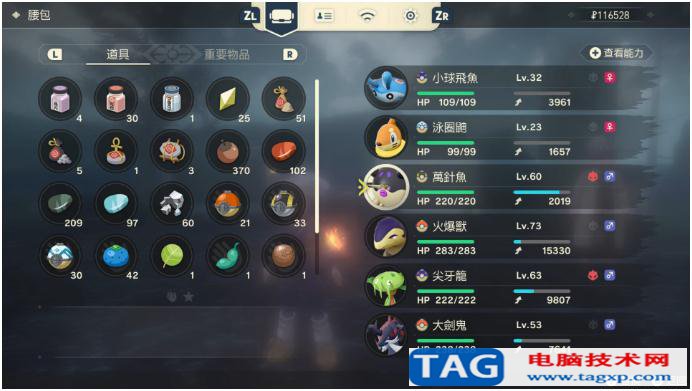 寶可夢傳說阿爾宙斯海之傳說任務(wù)怎么做 海之傳說副任務(wù)完成攻略