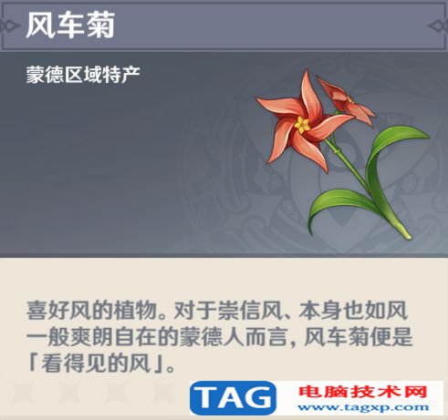 原神風(fēng)車菊在哪里 風(fēng)車菊采集分布圖
