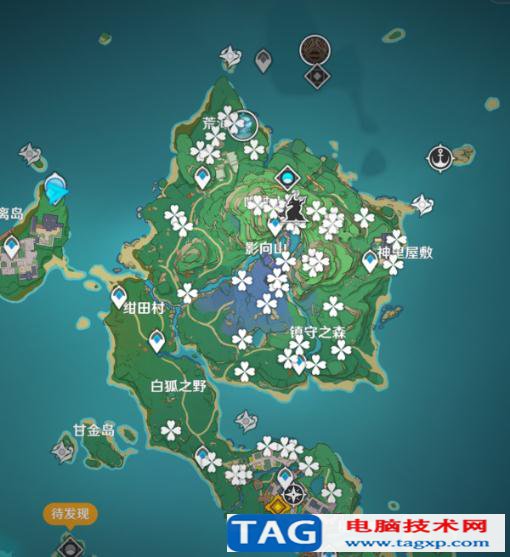 原神緋櫻繡球位置分布圖 最佳采集緋櫻繡球路線推薦