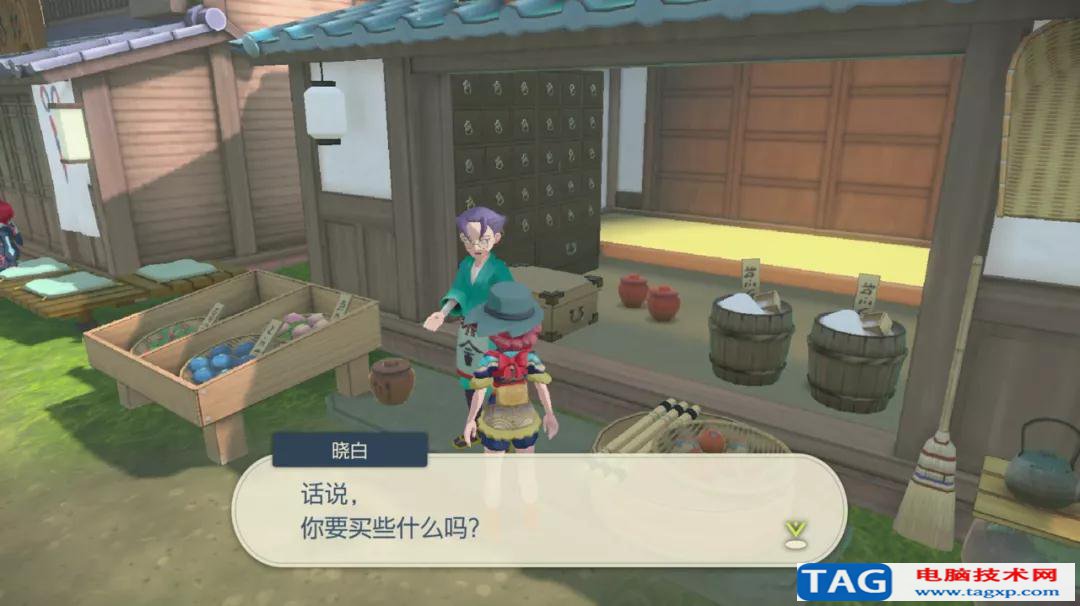 寶可夢傳說阿爾宙斯祝慶村全功能性NPC介紹