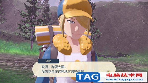 寶可夢傳說阿爾宙斯沒有王的島嶼任務(wù)怎么做 鎮(zhèn)撫狂暴風(fēng)速狗