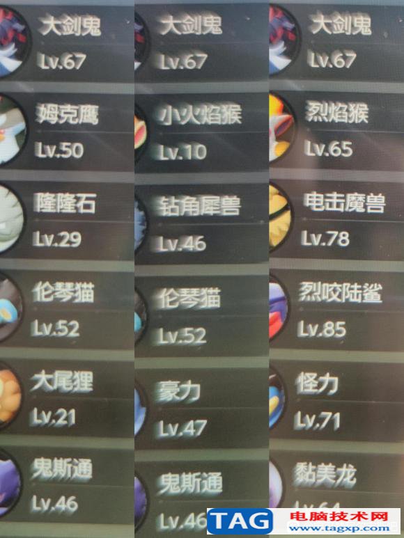 寶可夢傳說阿爾宙斯陣容推薦 隊伍陣容搭配推薦