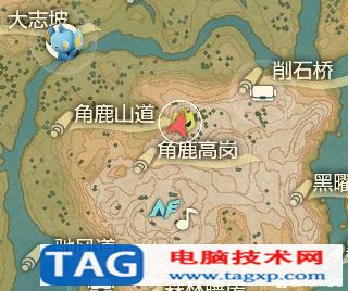 寶可夢傳說阿爾宙斯推薦精靈 前期精靈培育推薦