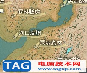 寶可夢傳說阿爾宙斯推薦精靈 前期精靈培育推薦