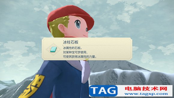 寶可夢(mèng)傳說阿爾宙斯沉睡的雪原王怎么做 學(xué)習(xí)飛翔/鎮(zhèn)撫冰巖怪攻略