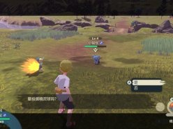 寶可夢傳說阿爾宙斯野外