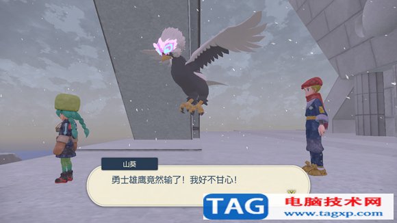 寶可夢(mèng)傳說(shuō)阿爾宙斯雪峰神殿怎么過(guò) 雪峰神殿石板機(jī)關(guān)解謎攻略