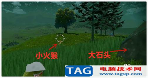 寶可夢傳說阿爾宙斯小火猴在哪捕捉 閃光小火猴捕捉地點(diǎn)位置