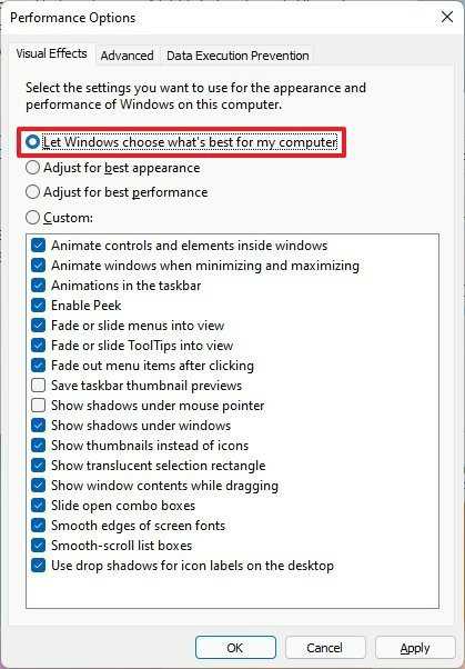 如何在Windows11控制面板上禁用視覺效果