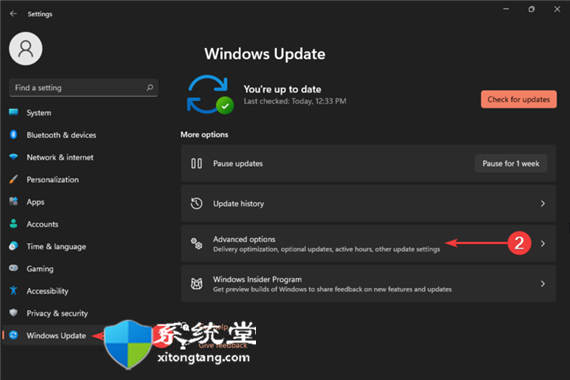 手動(dòng)安裝驅(qū)動(dòng)程序的方法_在Windows11上手動(dòng)安裝驅(qū)動(dòng)程序步驟