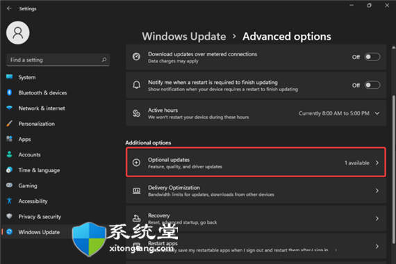 手動(dòng)安裝驅(qū)動(dòng)程序的方法_在Windows11上手動(dòng)安裝驅(qū)動(dòng)程序步驟