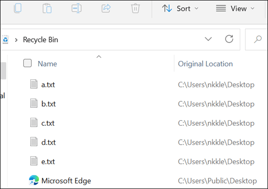 如何從 Windows 上的回收站恢復(fù)已刪除的文件