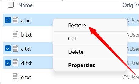 如何從 Windows 上的回收站恢復(fù)已刪除的文件