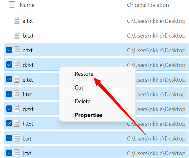 如何從 Windows 上的回收站恢復(fù)已刪除的文件