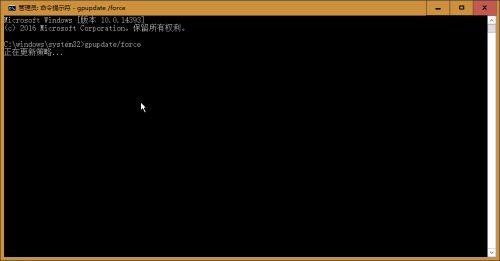 在 Windows 11 上使用命令提