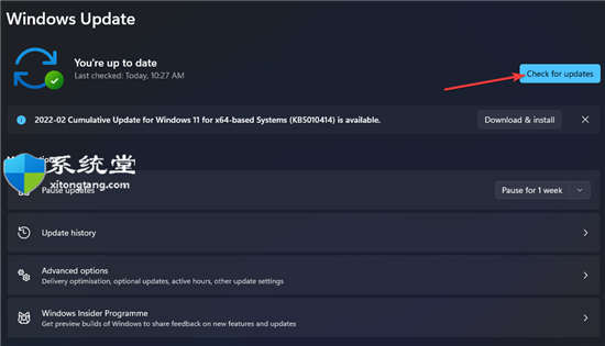 Windows11中的驅動程序卸載錯誤怎么辦？win11驅動程序無法卸載處理技巧