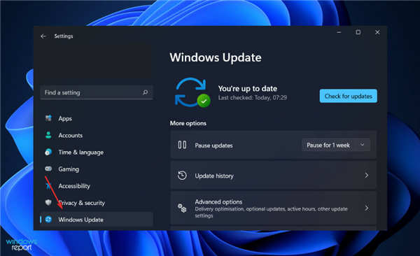 自定義分辨率在Windows11中不起作用?嘗試這些修復(fù)方法