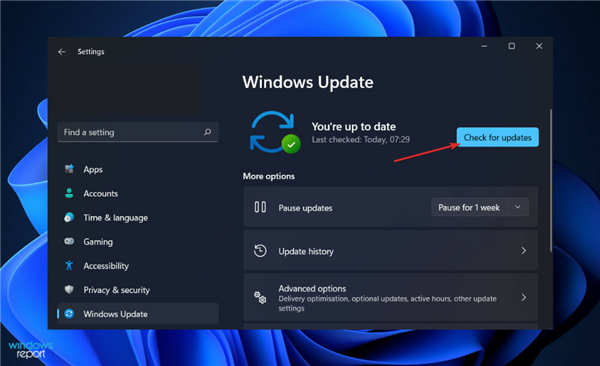 自定義分辨率在Windows11中不起作用?嘗試這些修復(fù)方法