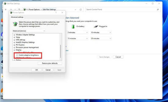 windows11系統(tǒng)通過控制面板關(guān)閉自適應(yīng)亮度方法