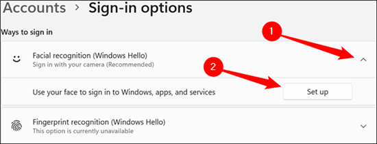 如何在Windows11上使用Wind