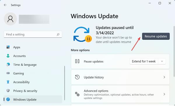 如何修復(fù)Windows11更新錯(cuò)誤0x8024a205