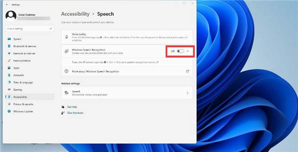 不知道文字轉(zhuǎn)語音設(shè)置_教你windows11如何打開文字轉(zhuǎn)語音選項