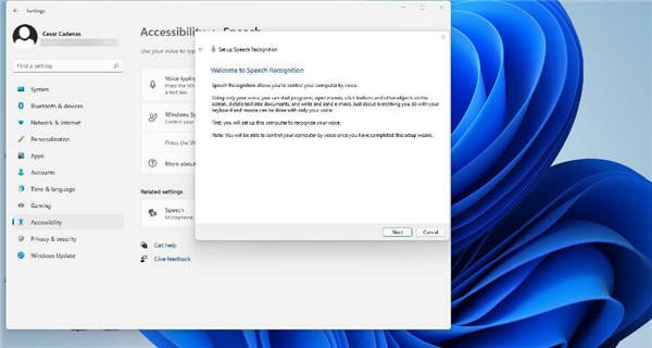 不知道文字轉(zhuǎn)語音設(shè)置_教你windows11如何打開文字轉(zhuǎn)語音選項