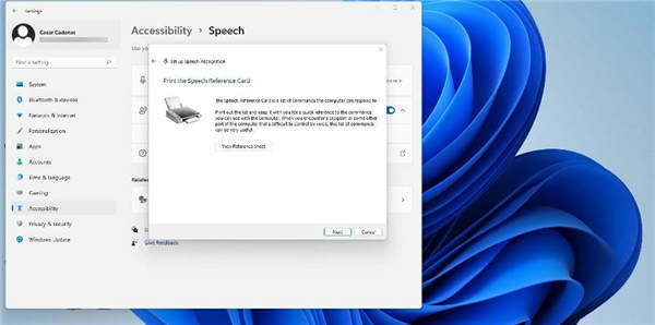 不知道文字轉(zhuǎn)語音設(shè)置_教你windows11如何打開文字轉(zhuǎn)語音選項