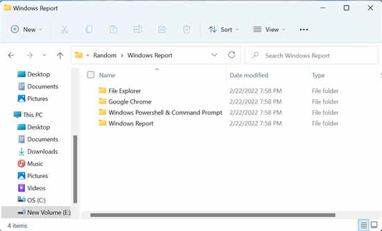 全新Windows11如何調(diào)整所有列的大小以自動(dòng)