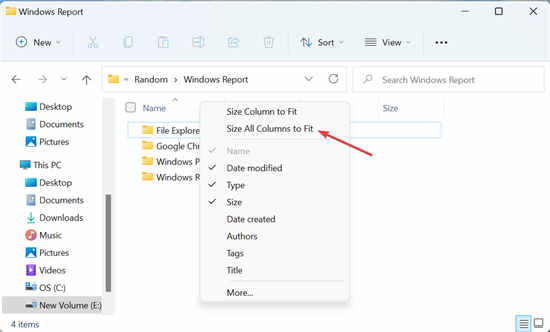 全新Windows11如何調(diào)整所有列的大小以自動(dòng)適應(yīng)