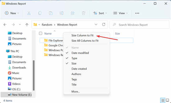 全新Windows11如何調(diào)整所有列的大小以自動(dòng)適應(yīng)