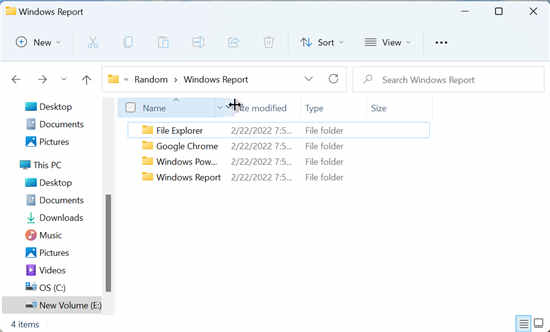 全新Windows11如何調(diào)整所有列的大小以自動(dòng)適應(yīng)