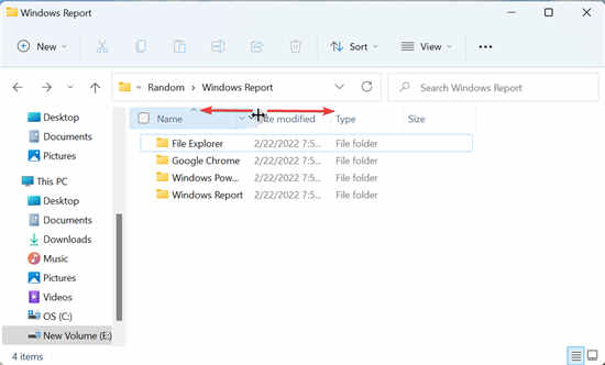 全新Windows11如何調(diào)整所有列的大小以自動(dòng)適應(yīng)