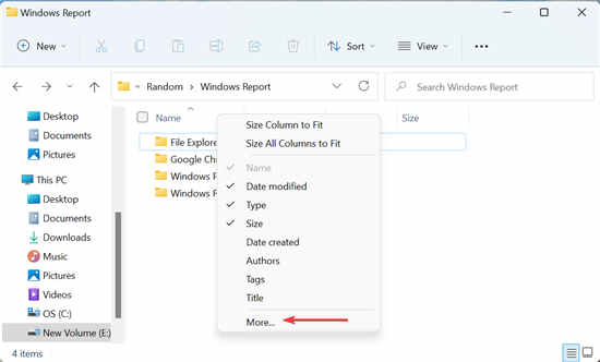 全新Windows11如何調(diào)整所有列的大小以自動(dòng)適應(yīng)