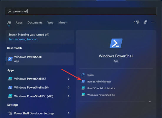 win11專業(yè)版中如何使用 P