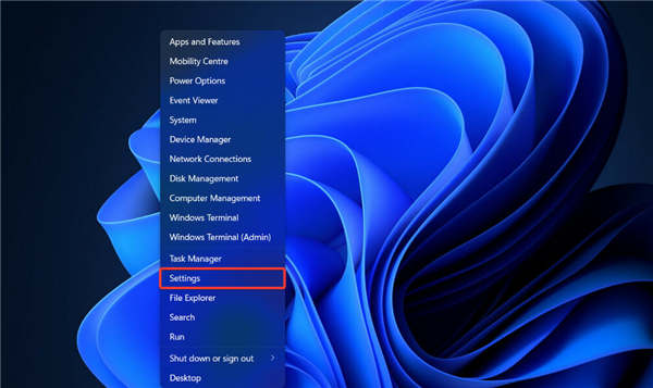 Microsoft Store 在 Windows 11 中