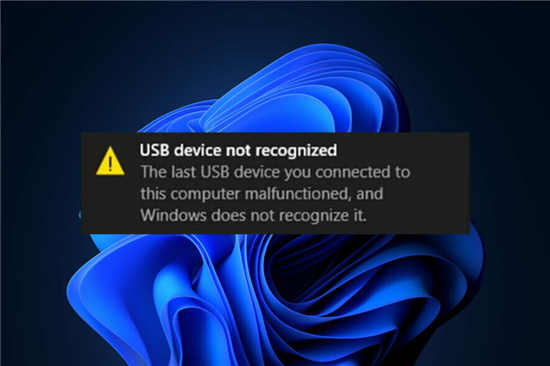 Garmin?USB設(shè)備在Windows11中無法識別怎么辦