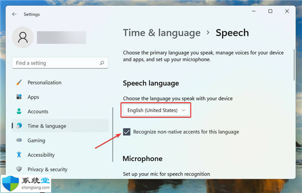 windows11系統(tǒng)中語音輸入為什么用不了? 語音輸入不起作用修復(fù)方法