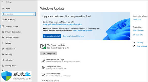 詳細解答Windows11 升級與全新安裝區(qū)別是什