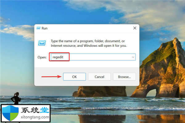 如何在 Windows 11 中刪除文件關(guān)聯(lián)
