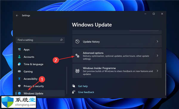 系統(tǒng)中未檢測(cè)到nvidia顯卡?教你在Windows11中未檢測(cè)到Nvidia顯卡怎么修復(fù)