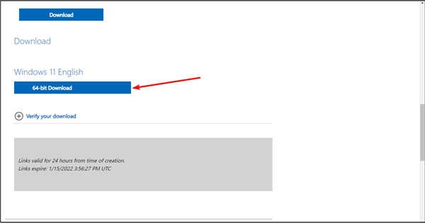 下載Windows11 ISO鏡像方法