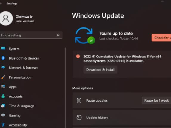 如何從Windows11獲得最佳性能_win11最佳性能模式