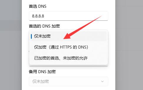 Win11加密dns詳細(xì)教程
