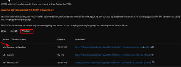 如何在Windows11上安裝Java