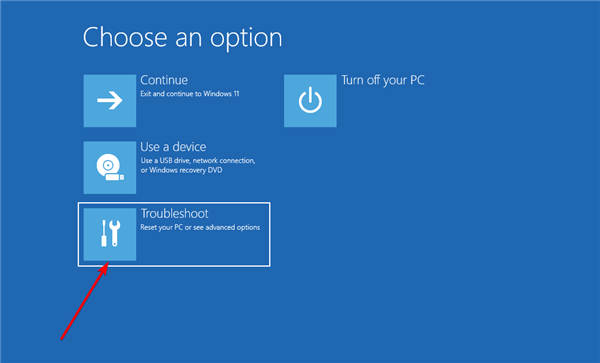 在Windows11中0xc000000f錯誤代碼修復(fù)方法