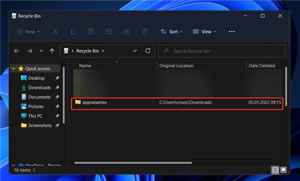 Appraiserres.dll 在 Windows 11 中不起作用？